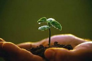 Seminário Agroecologia 3