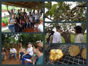 Seminário Agroecologia Capacitação Projeto Marolo 4