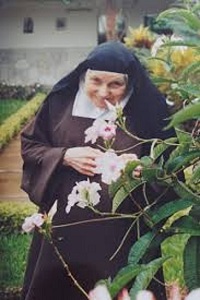 Novena Nossa Mãe Madre Teresa Margarida do Coração de Maria Carmelo São José 2