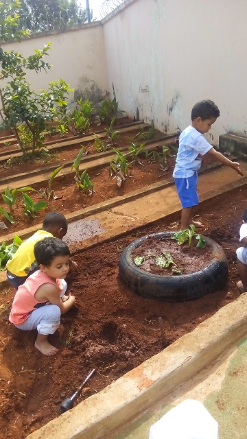 educacao-projeto-educando-horta-cmei-bem-me-quer-2