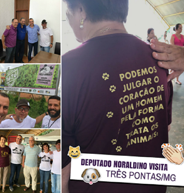 SOS Animais Castramóvel 3