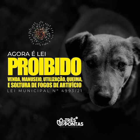 Lei proíbe Fogos de Artifício Animais Cão